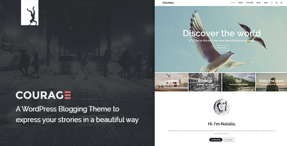 A Clean Preview Wordpress Theme - Rating, Reviews, Preview, Demo & Download