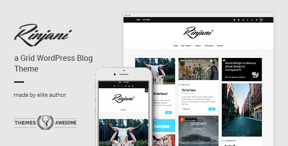 A Responsive Preview Wordpress Theme - Rating, Reviews, Preview, Demo & Download