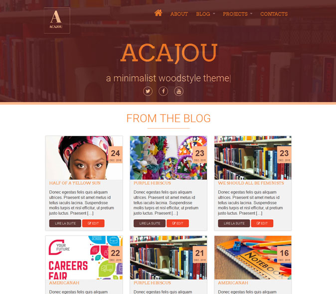 Acajou Preview Wordpress Theme - Rating, Reviews, Preview, Demo & Download