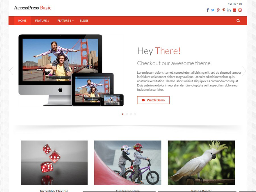Accesspress Basic Preview Wordpress Theme - Rating, Reviews, Preview, Demo & Download