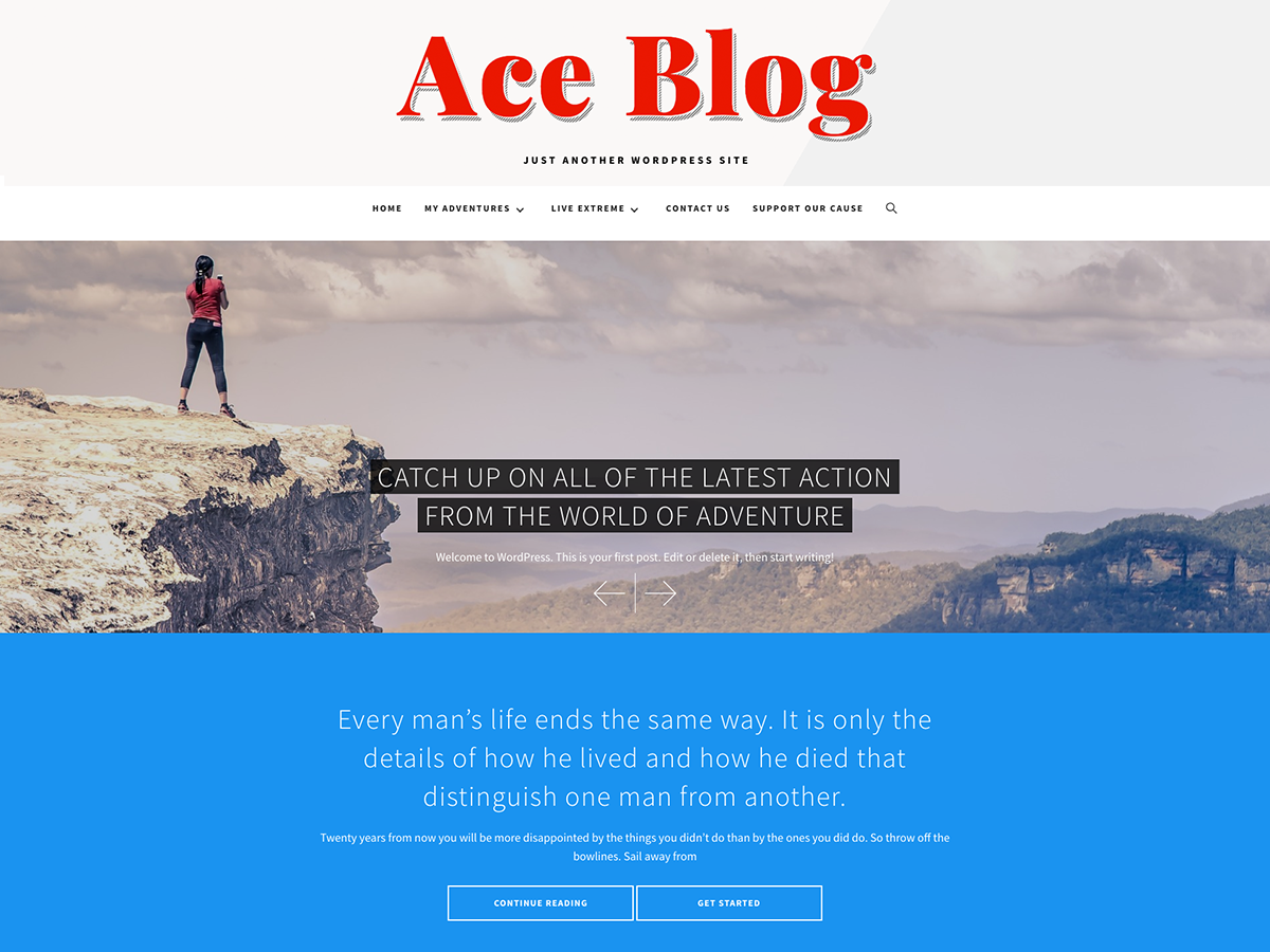Ace Blog Preview Wordpress Theme - Rating, Reviews, Preview, Demo & Download