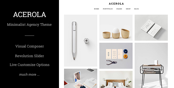 Acerola Preview Wordpress Theme - Rating, Reviews, Preview, Demo & Download