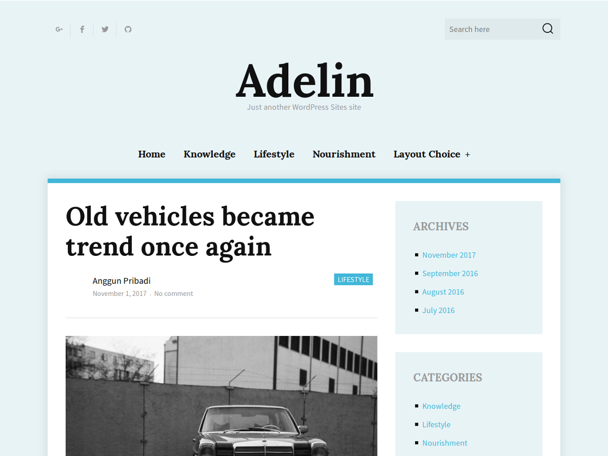 Adelin Preview Wordpress Theme - Rating, Reviews, Preview, Demo & Download