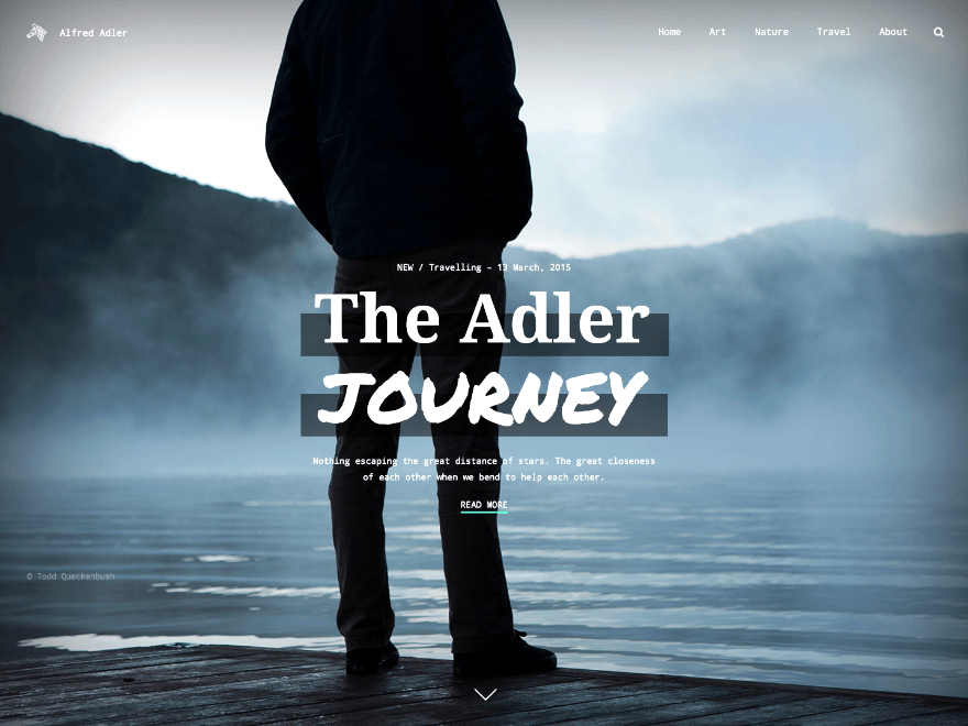 Adler Preview Wordpress Theme - Rating, Reviews, Preview, Demo & Download