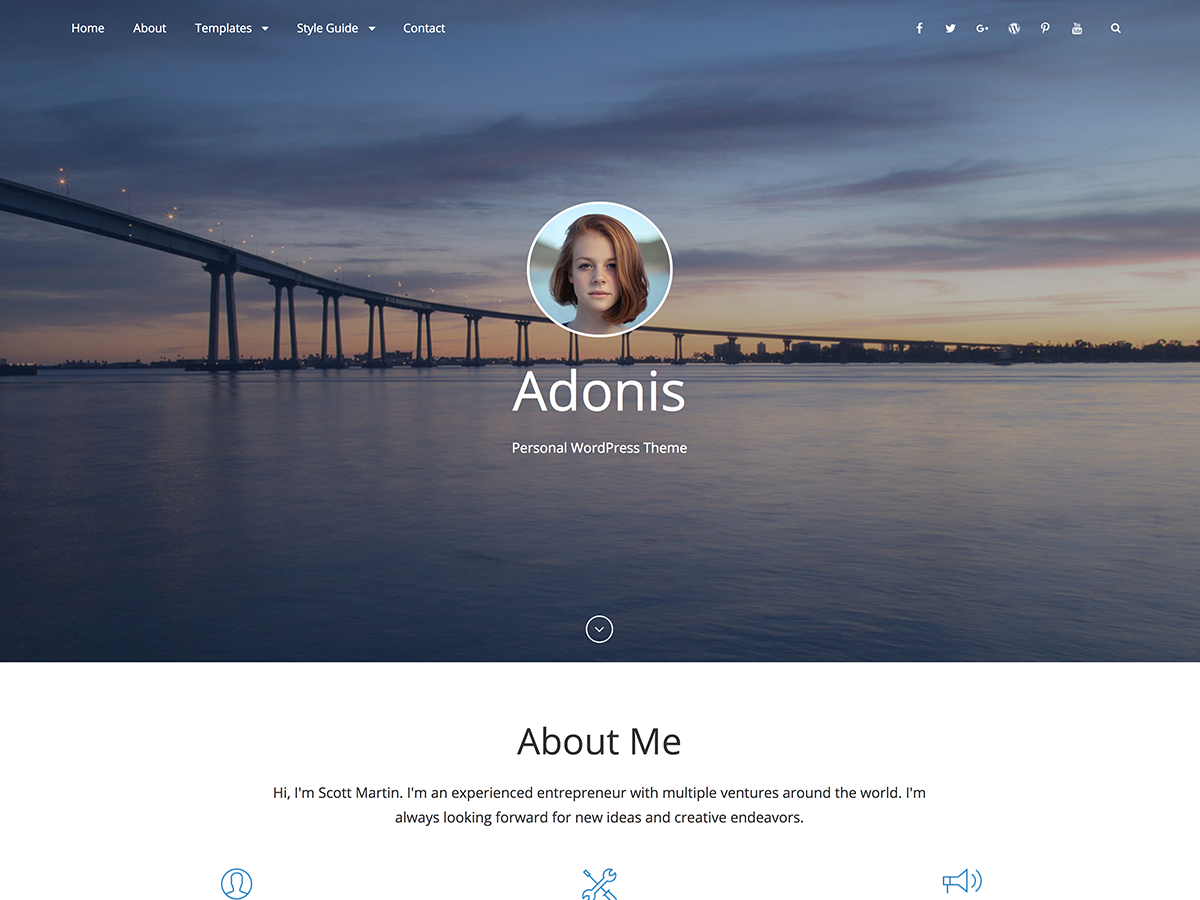 Adonis Preview Wordpress Theme - Rating, Reviews, Preview, Demo & Download