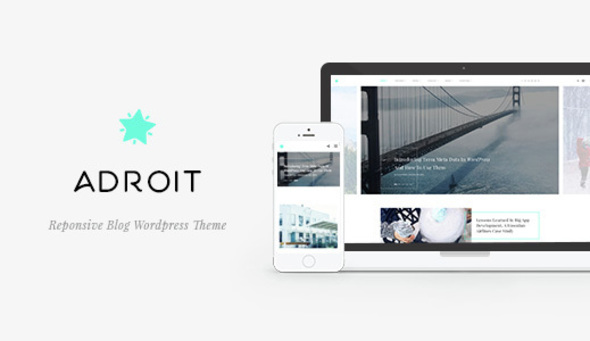 Adroit Preview Wordpress Theme - Rating, Reviews, Preview, Demo & Download