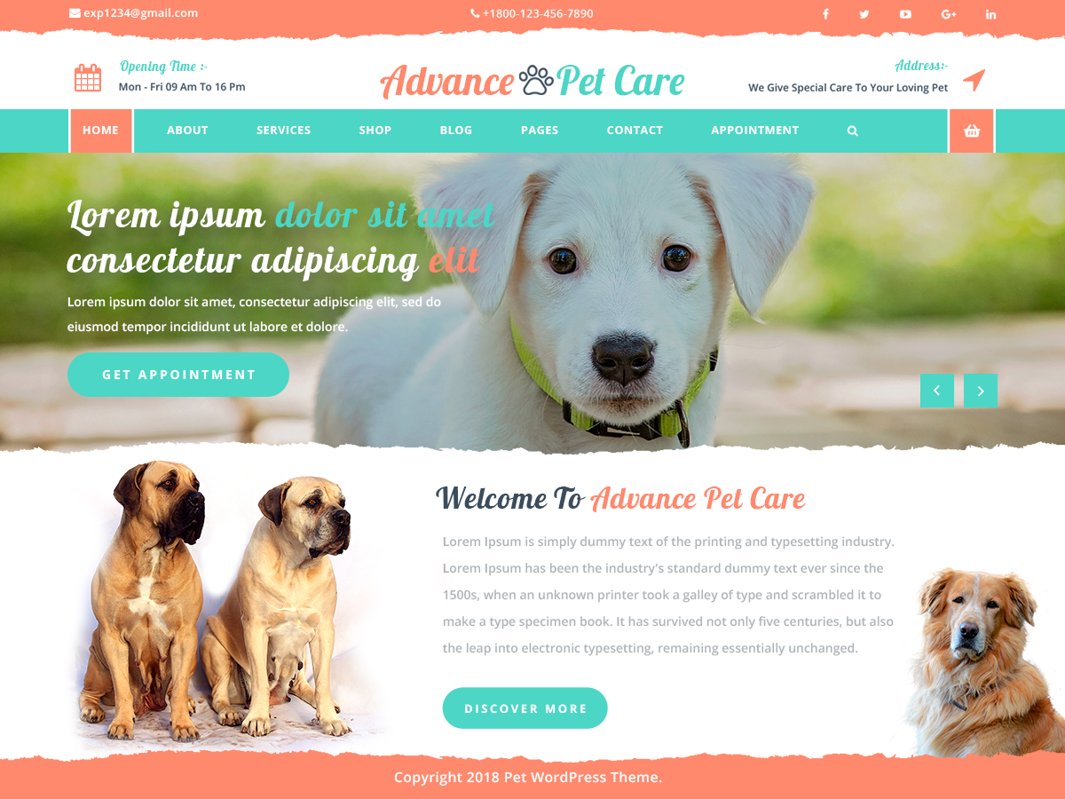 Advance Pet Preview Wordpress Theme - Rating, Reviews, Preview, Demo & Download