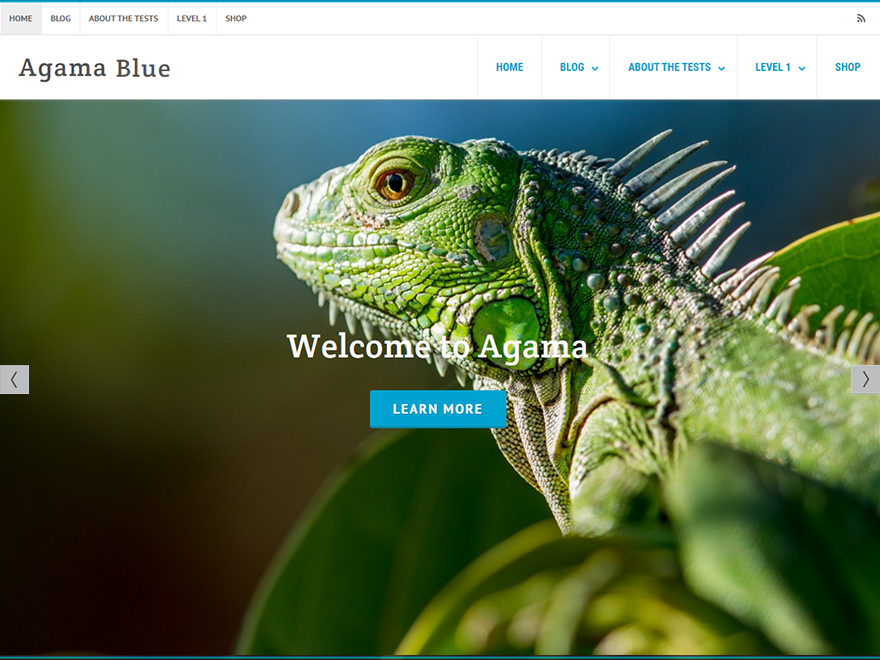 Agama Blue Preview Wordpress Theme - Rating, Reviews, Preview, Demo & Download