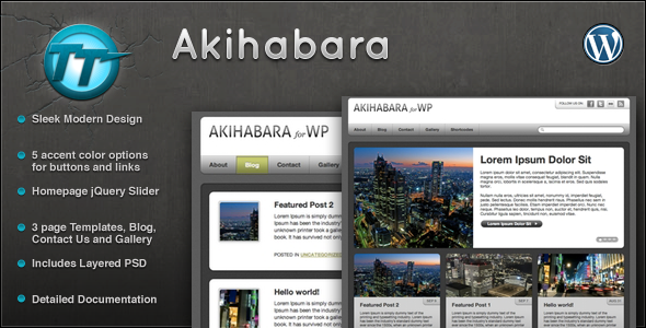 Akihabara Wordpress Preview Wordpress Theme - Rating, Reviews, Preview, Demo & Download