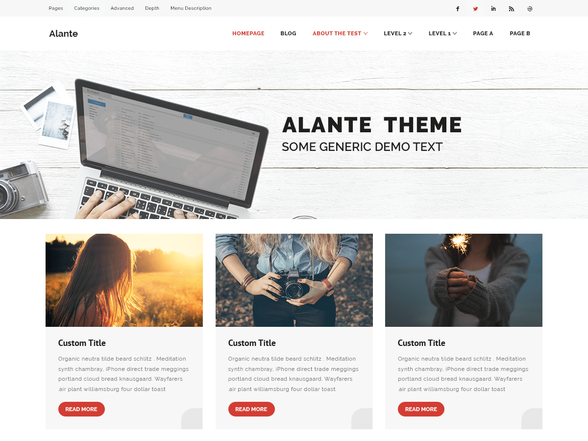 Alante Blog Preview Wordpress Theme - Rating, Reviews, Preview, Demo & Download