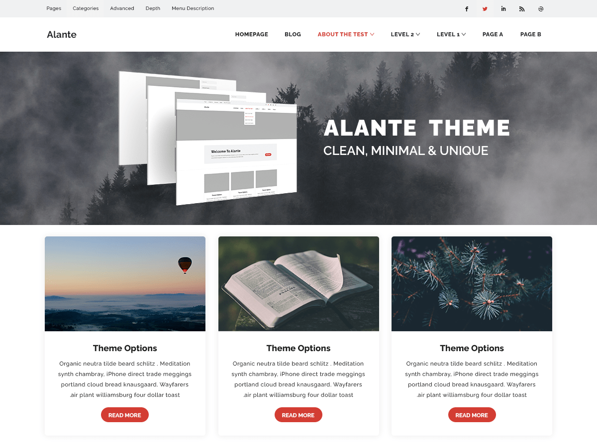 Alante EBlog Preview Wordpress Theme - Rating, Reviews, Preview, Demo & Download