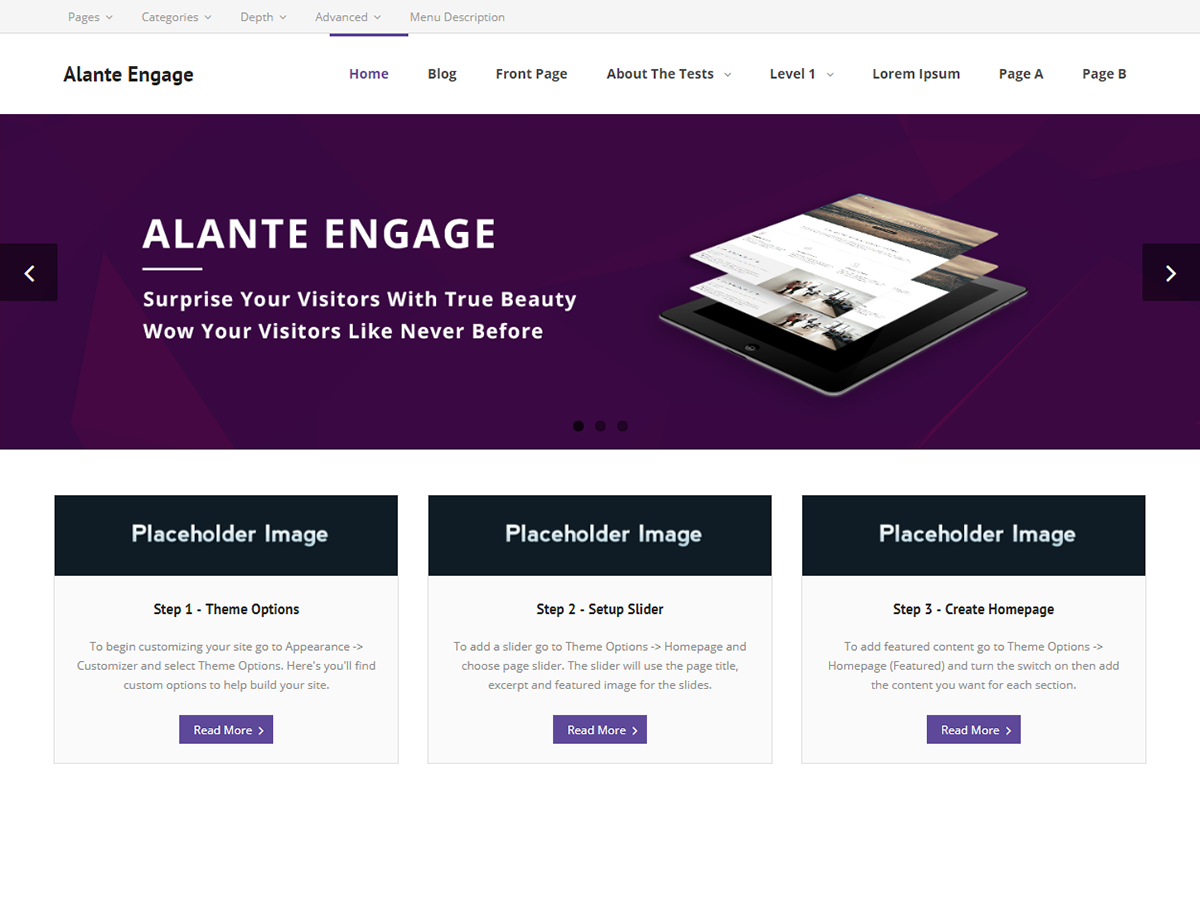 Alante Engage Preview Wordpress Theme - Rating, Reviews, Preview, Demo & Download