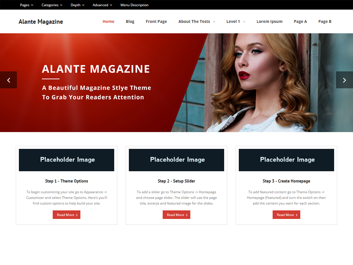 Alante Magazine Preview Wordpress Theme - Rating, Reviews, Preview, Demo & Download