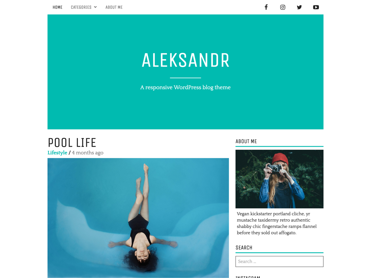 Aleksandr Preview Wordpress Theme - Rating, Reviews, Preview, Demo & Download