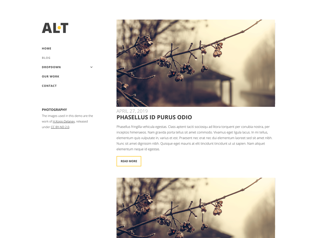 Alternate Lite Preview Wordpress Theme - Rating, Reviews, Preview, Demo & Download