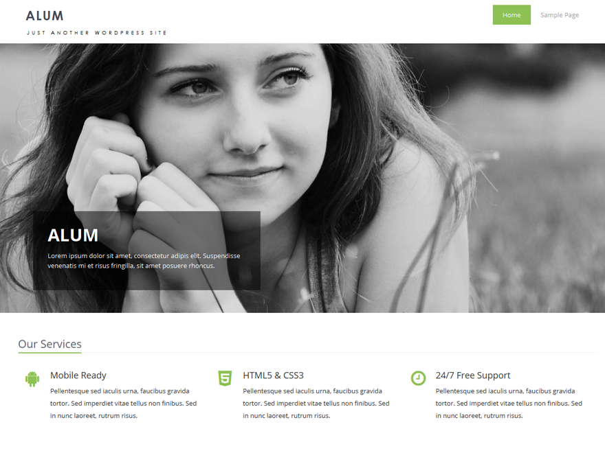 Alum Preview Wordpress Theme - Rating, Reviews, Preview, Demo & Download