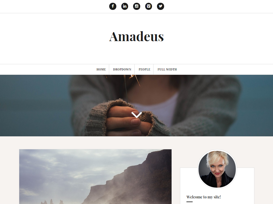 Amadeus Preview Wordpress Theme - Rating, Reviews, Preview, Demo & Download
