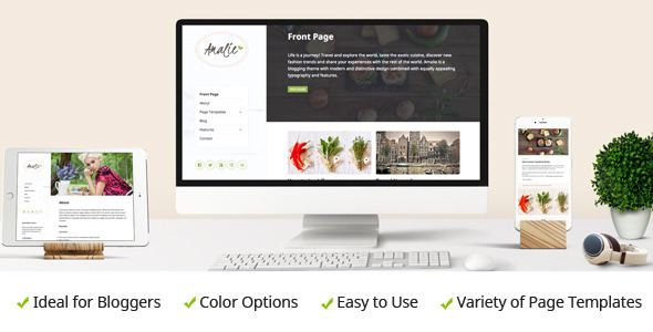Amalie Preview Wordpress Theme - Rating, Reviews, Preview, Demo & Download