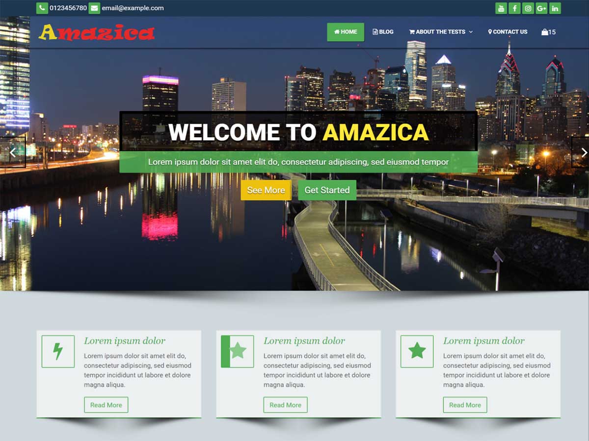 Amazica Business Preview Wordpress Theme - Rating, Reviews, Preview, Demo & Download