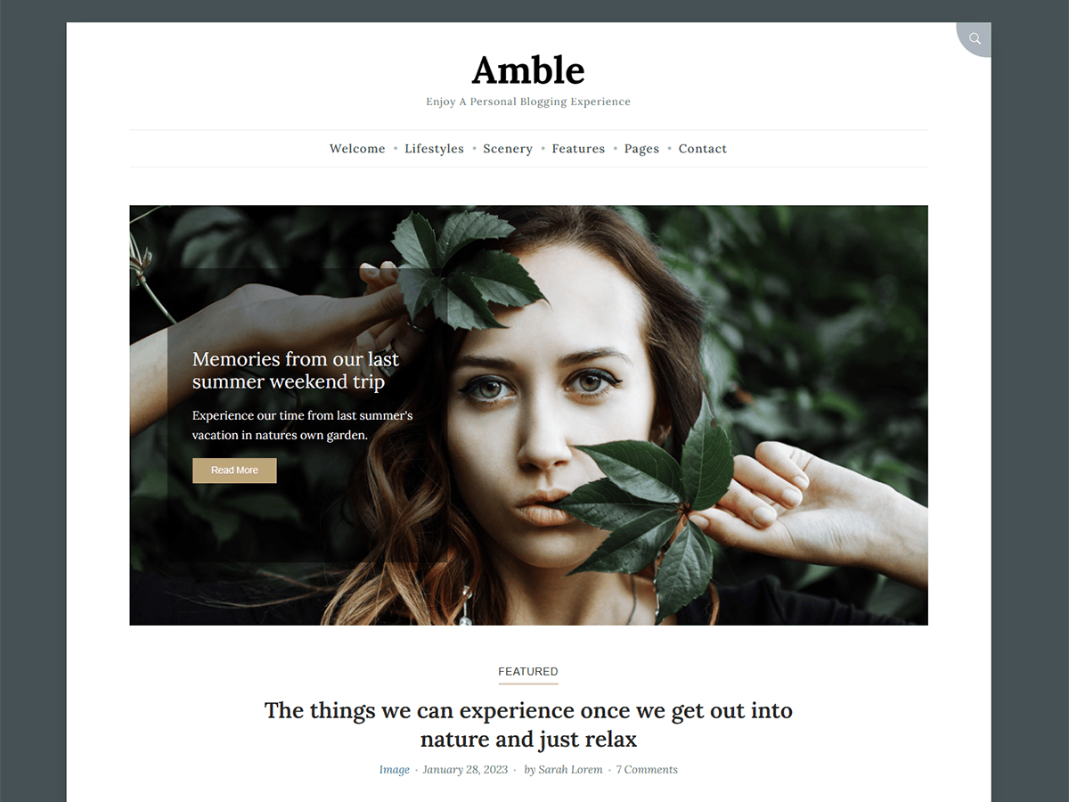 Amble Preview Wordpress Theme - Rating, Reviews, Preview, Demo & Download