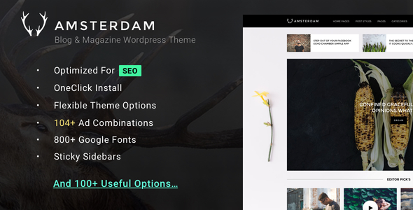 Amsterdam Preview Wordpress Theme - Rating, Reviews, Preview, Demo & Download