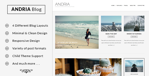 Andria Preview Wordpress Theme - Rating, Reviews, Preview, Demo & Download