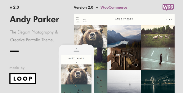 Andy Parker Preview Wordpress Theme - Rating, Reviews, Preview, Demo & Download