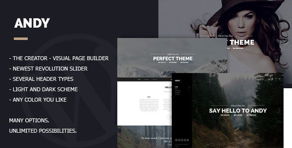 Andy Preview Wordpress Theme - Rating, Reviews, Preview, Demo & Download