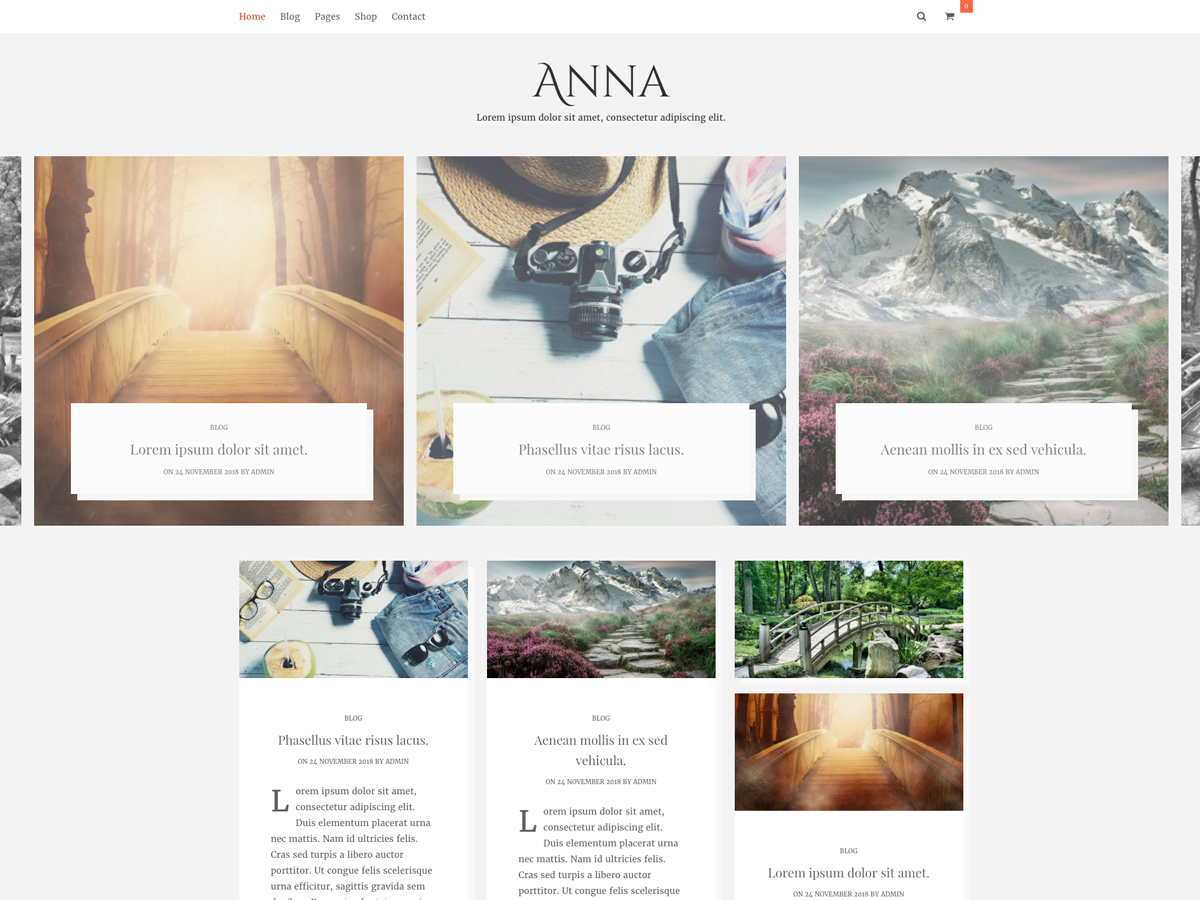Anna Lite Preview Wordpress Theme - Rating, Reviews, Preview, Demo & Download