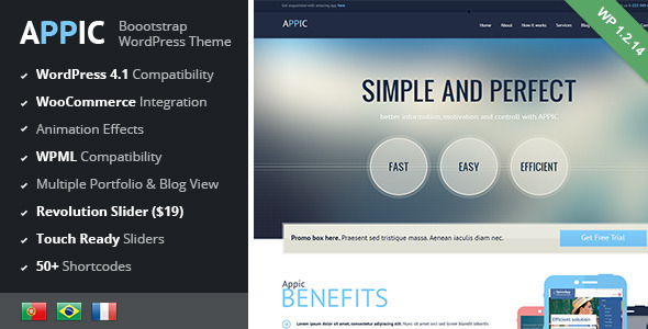 Appic Preview Wordpress Theme - Rating, Reviews, Preview, Demo & Download