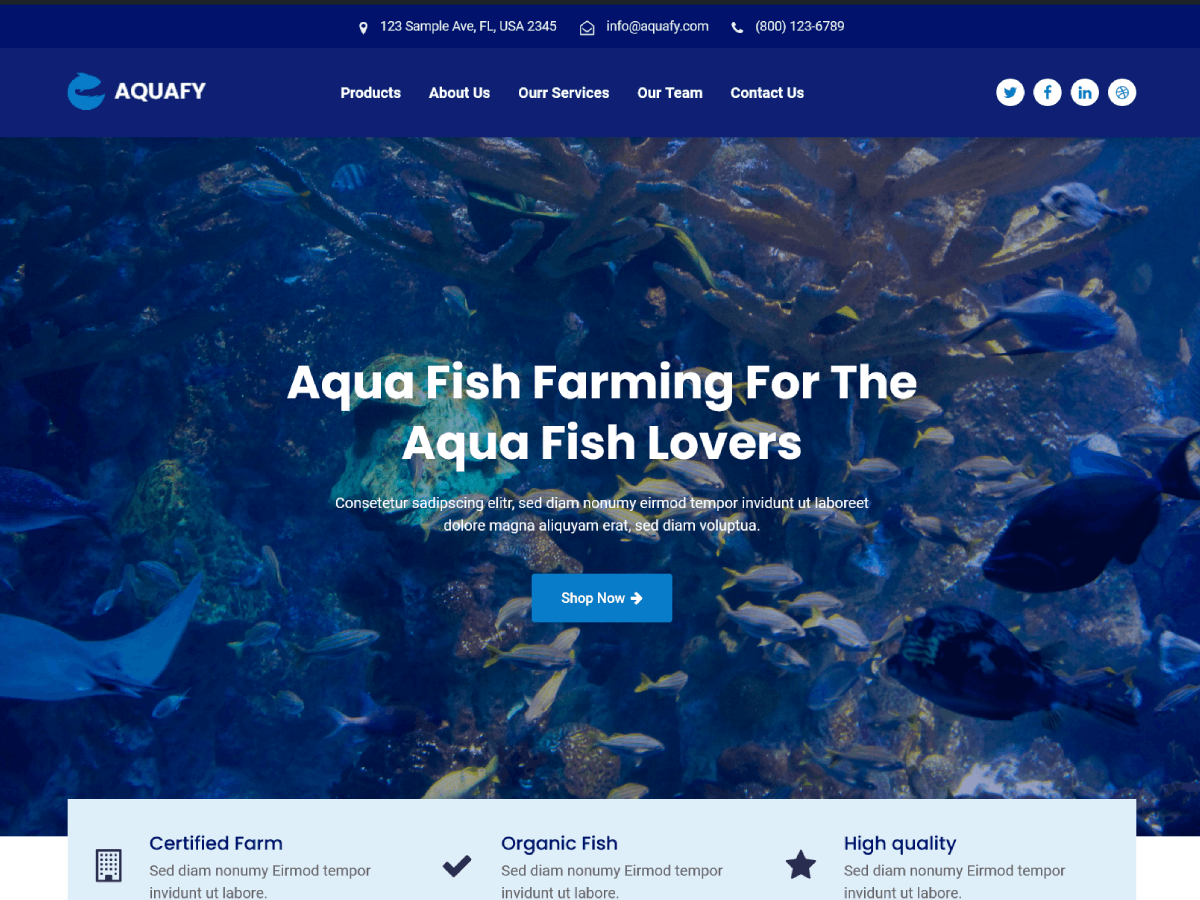 Aquafy Starter Preview Wordpress Theme - Rating, Reviews, Preview, Demo & Download