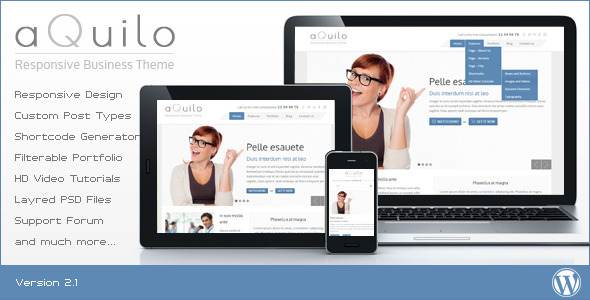 Aquilo Preview Wordpress Theme - Rating, Reviews, Preview, Demo & Download