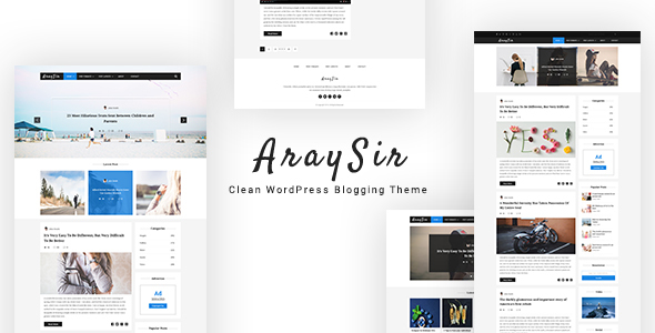 AraySir Clean Preview Wordpress Theme - Rating, Reviews, Preview, Demo & Download