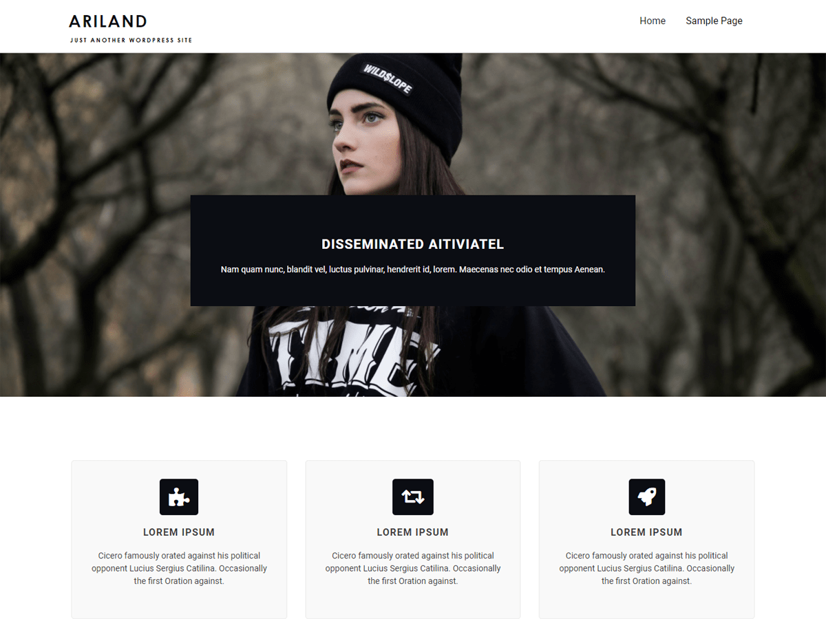 Ariland Preview Wordpress Theme - Rating, Reviews, Preview, Demo & Download