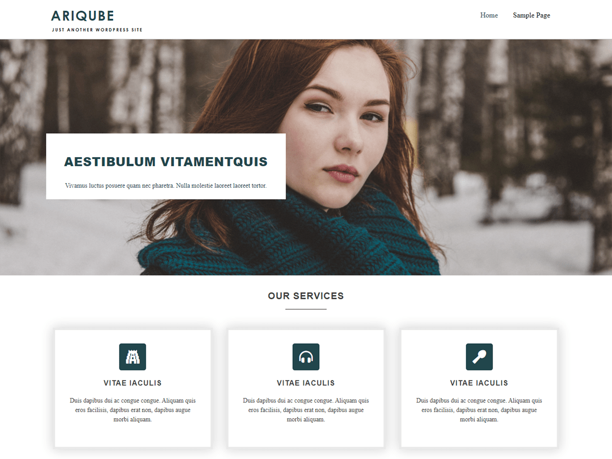 Ariqube Preview Wordpress Theme - Rating, Reviews, Preview, Demo & Download