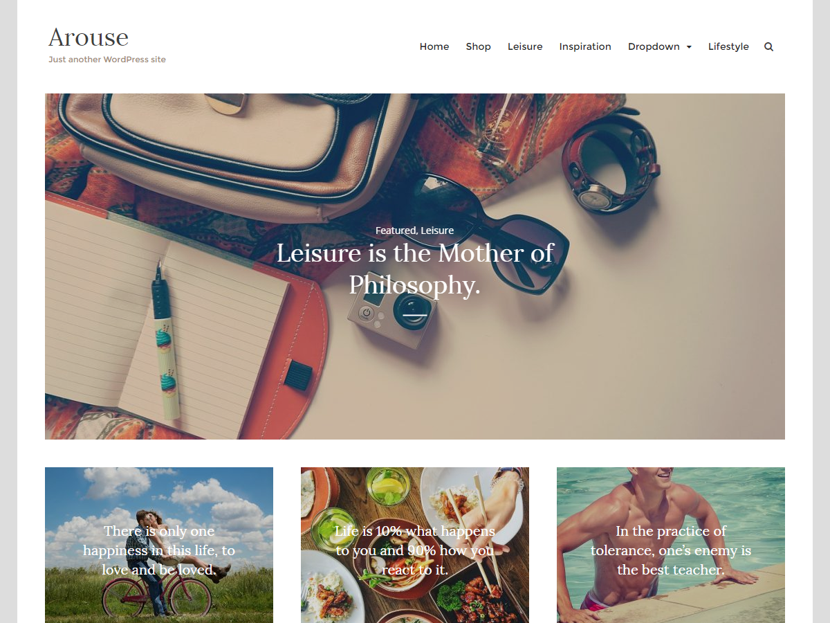 Arouse Preview Wordpress Theme - Rating, Reviews, Preview, Demo & Download