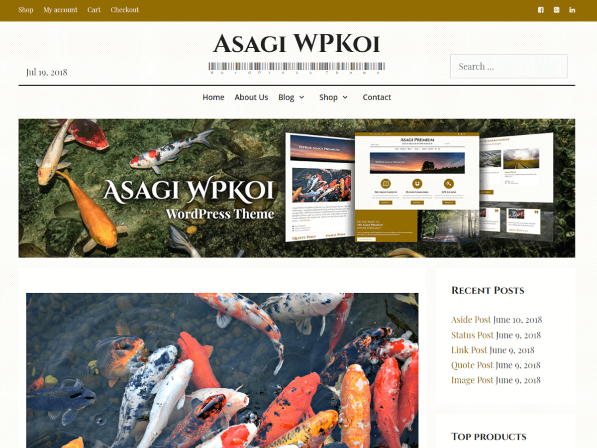 Asagi Preview Wordpress Theme - Rating, Reviews, Preview, Demo & Download