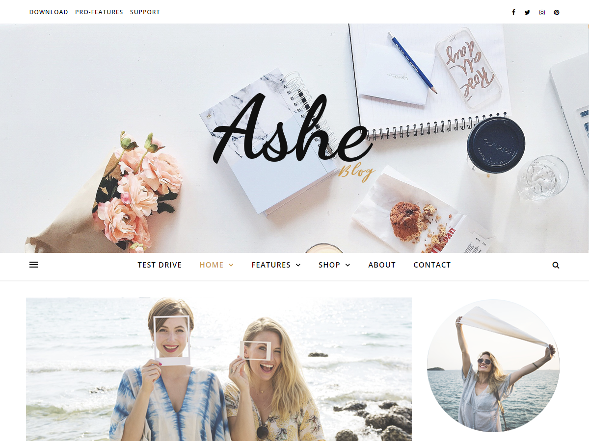 Ashe Preview Wordpress Theme - Rating, Reviews, Preview, Demo & Download