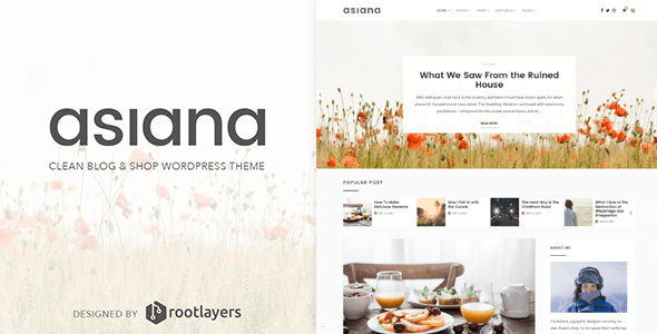 Asiana Preview Wordpress Theme - Rating, Reviews, Preview, Demo & Download