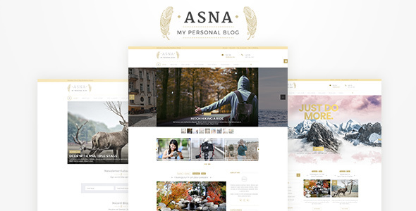 Asna Preview Wordpress Theme - Rating, Reviews, Preview, Demo & Download
