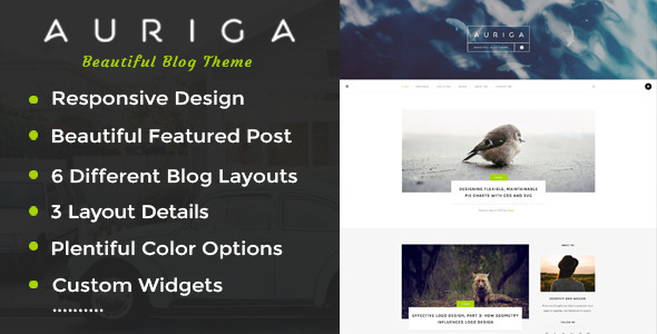 Auriga Preview Wordpress Theme - Rating, Reviews, Preview, Demo & Download
