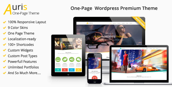 Auris Preview Wordpress Theme - Rating, Reviews, Preview, Demo & Download
