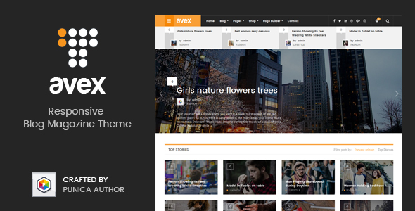 Avex Preview Wordpress Theme - Rating, Reviews, Preview, Demo & Download