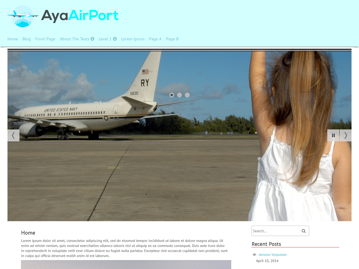 AyaAirPort Preview Wordpress Theme - Rating, Reviews, Preview, Demo & Download
