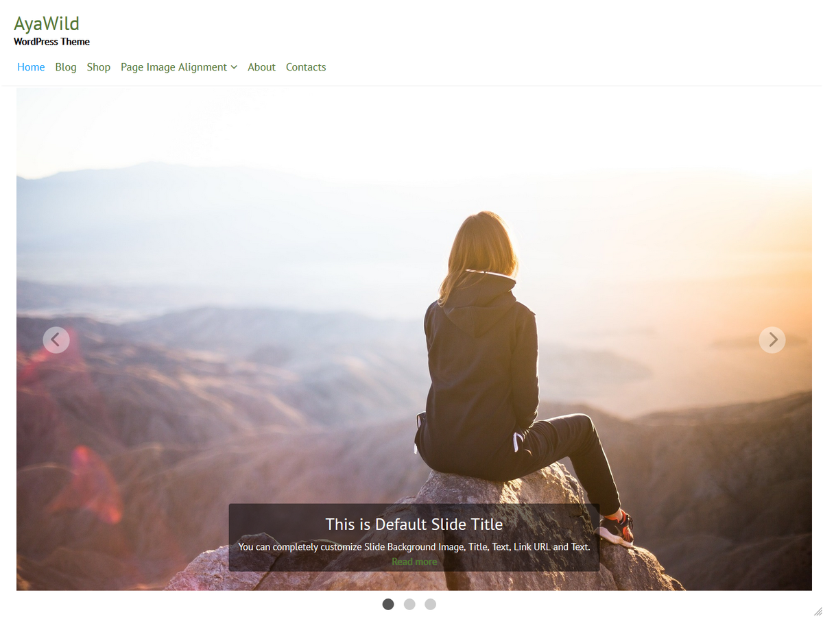 AyaWild Preview Wordpress Theme - Rating, Reviews, Preview, Demo & Download