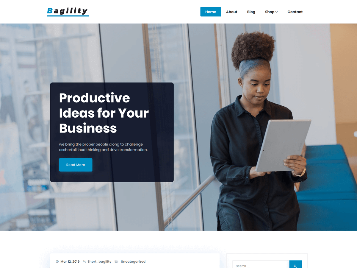 Bagility Preview Wordpress Theme - Rating, Reviews, Preview, Demo & Download