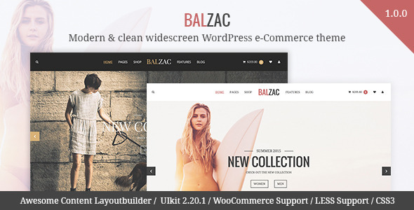 Balzac Preview Wordpress Theme - Rating, Reviews, Preview, Demo & Download