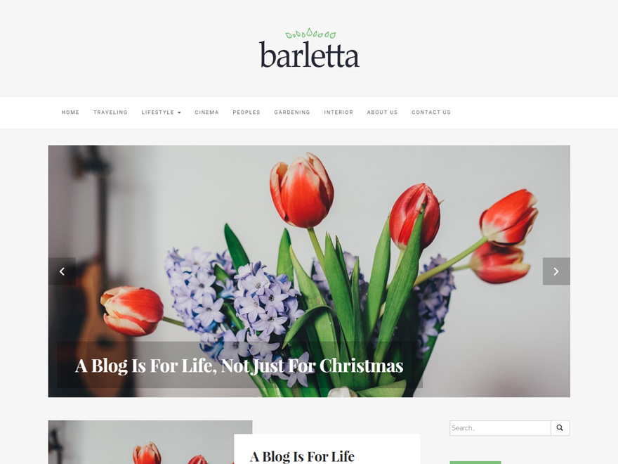 Barletta Preview Wordpress Theme - Rating, Reviews, Preview, Demo & Download