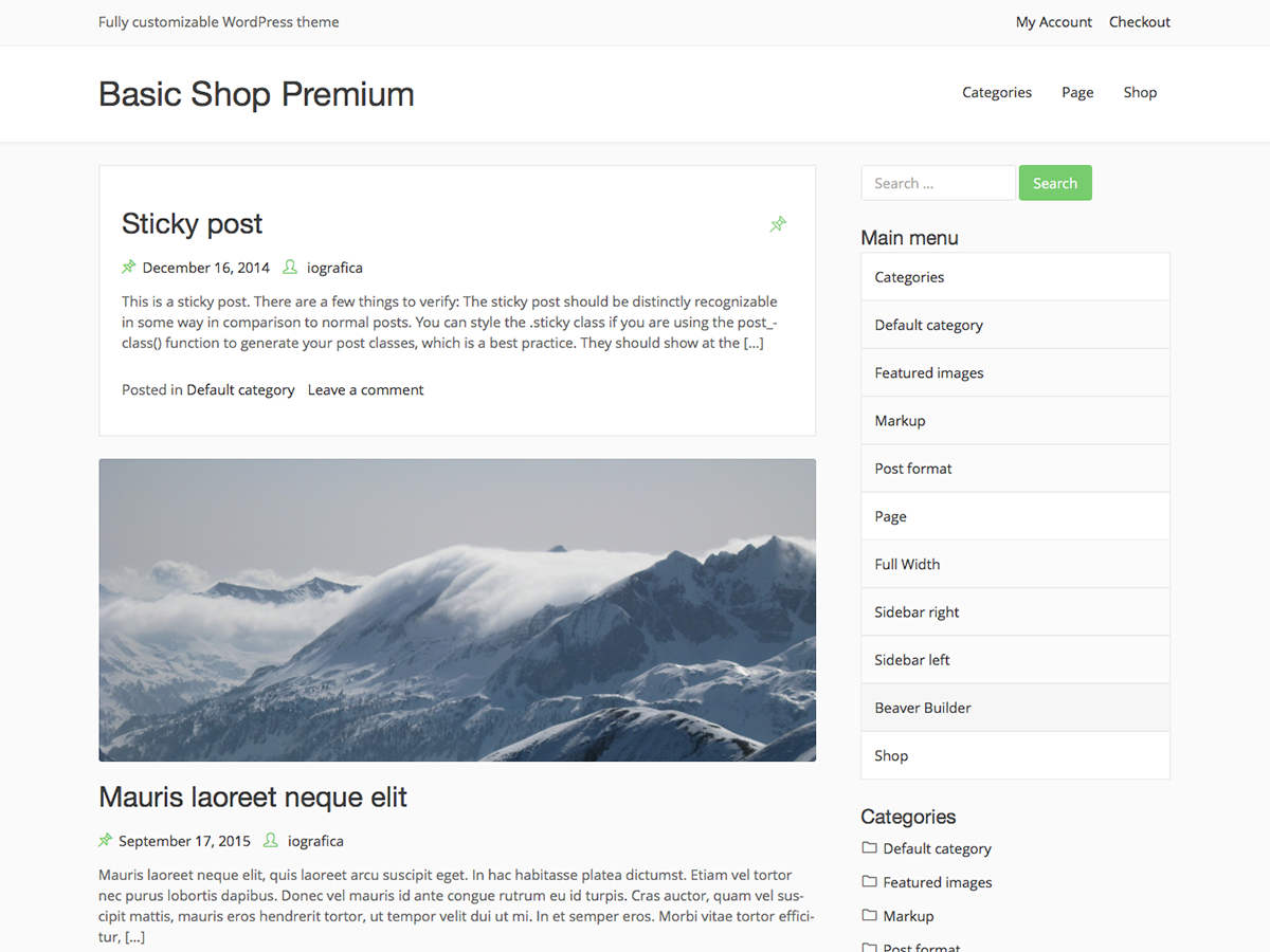 Basic Shop Preview Wordpress Theme - Rating, Reviews, Preview, Demo & Download