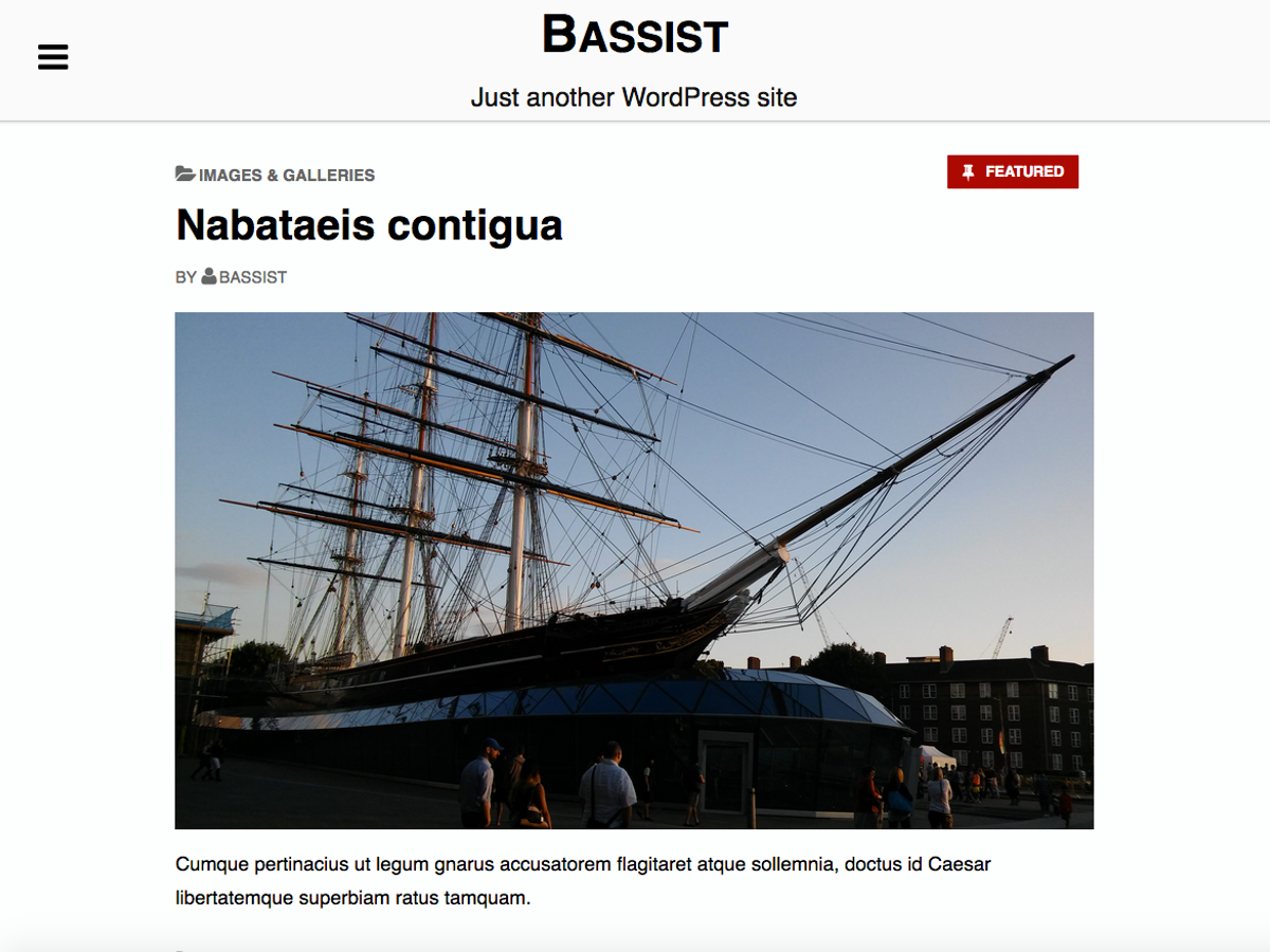 Bassist Preview Wordpress Theme - Rating, Reviews, Preview, Demo & Download
